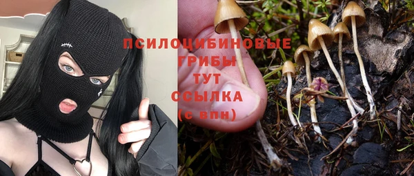 гидропоника Алексин