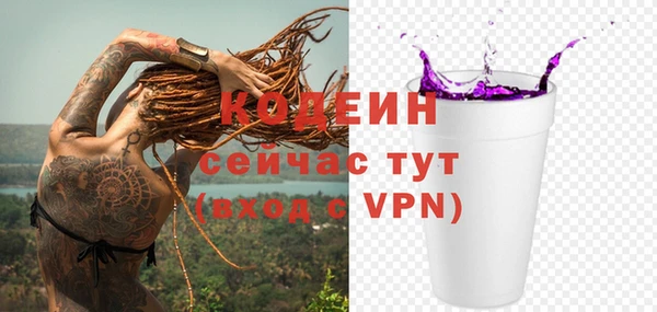 мет Няндома