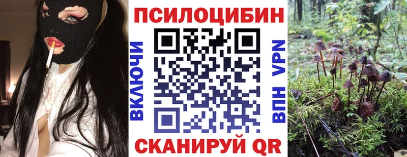 гидра   Полярные Зори  Псилоцибиновые грибы MAGIC MUSHROOMS 