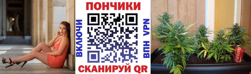Шишки марихуана марихуана  Полярные Зори 